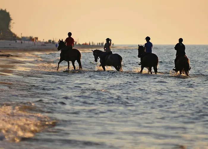 Apartamentyprzymorzu Solna 201 - W Centrum Blisko Morza *